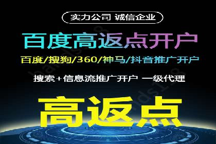探索百度广告竞价的奥秘：某行业领先企业的投放经验